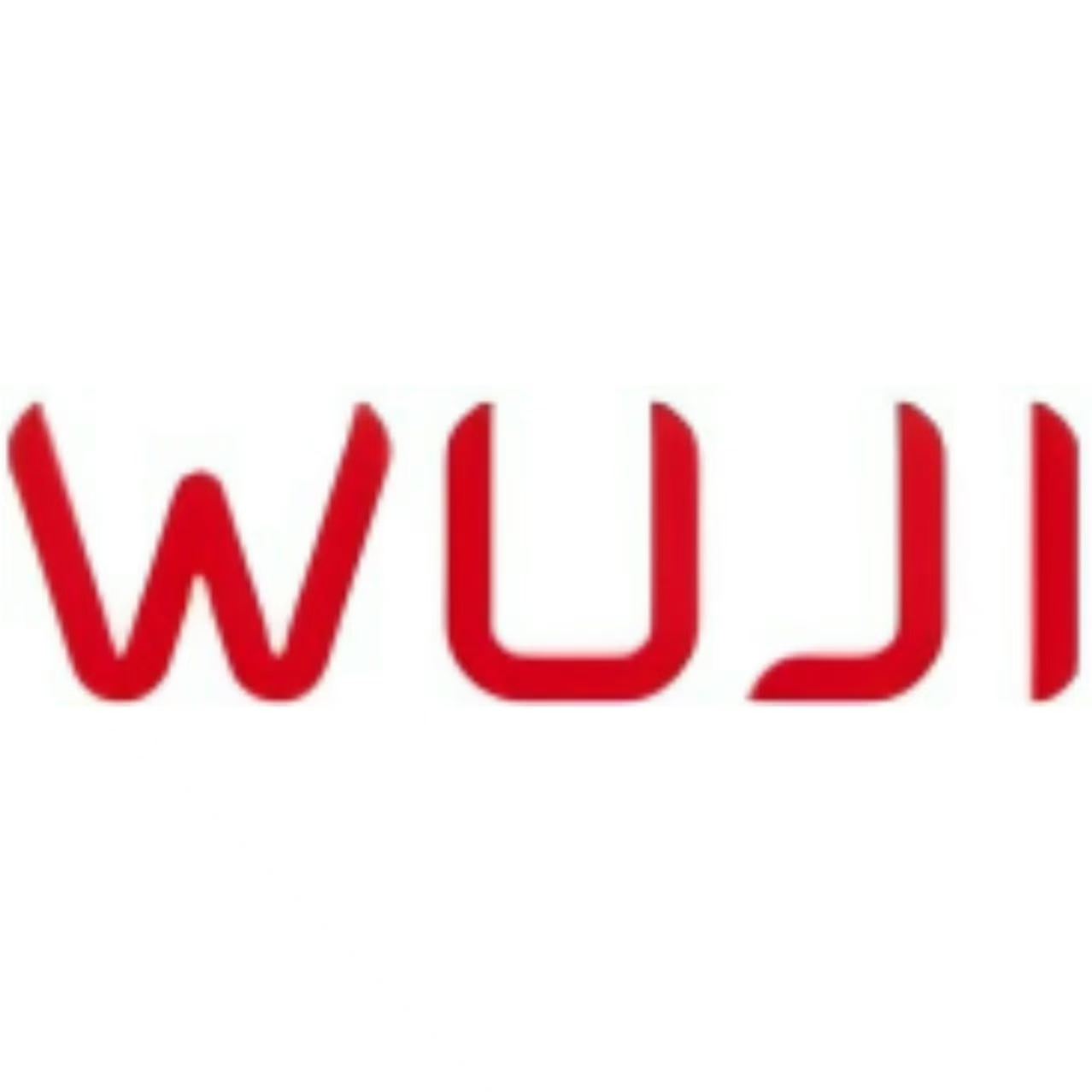 Wuji Technology (舞肌科技)