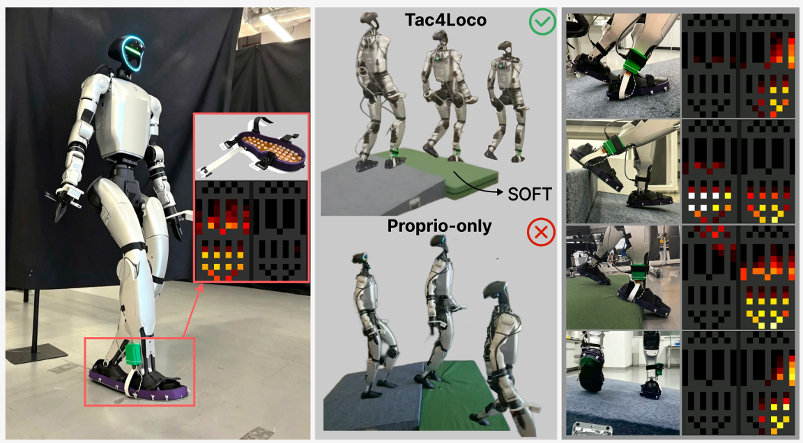 Tac4Loco: Learning Spatiotemporal Plantar Pressure Representations for Humanoid Locomotion